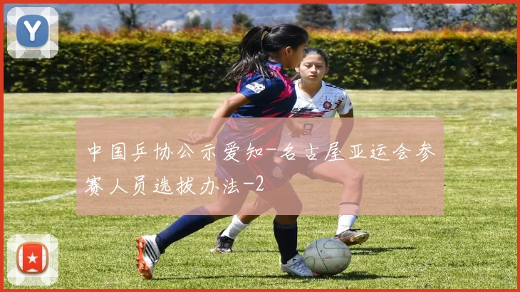 中国乒协公示爱知-名古屋亚运会参赛人员选拔办法