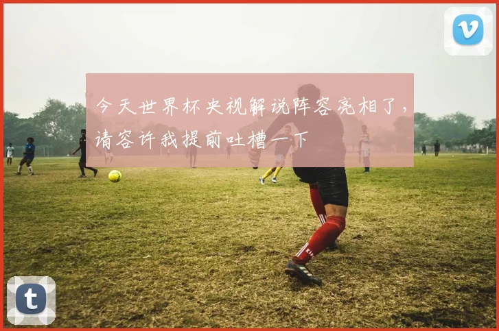 今天世界杯央视解说阵容亮相了，请容许我提前吐槽一下