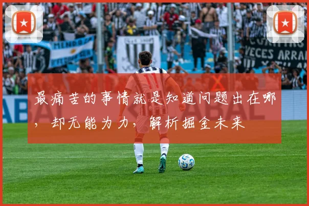 最痛苦的事情就是知道问题出在哪，却无能为力，解析掘金未来