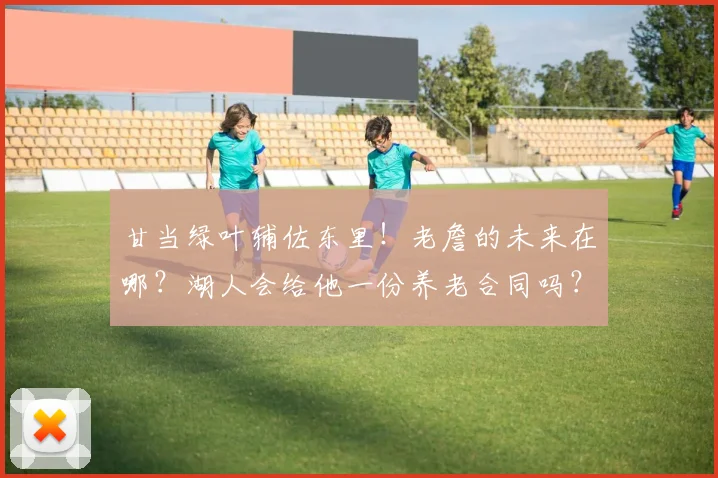 甘当绿叶辅佐东里！老詹的未来在哪？湖人会给他一份养老合同吗？